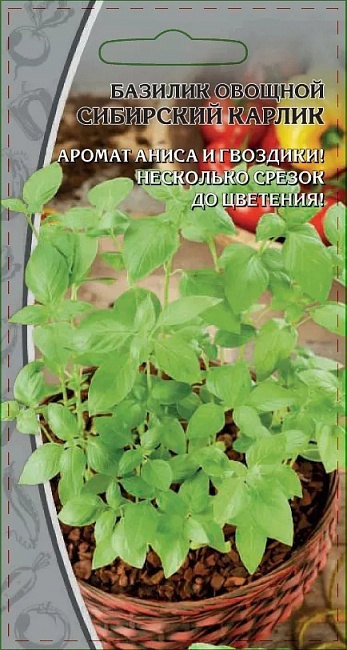 Базилик овощной Сибирский карлик 0,5 гр цв.п.